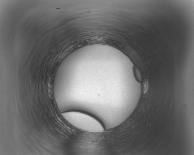 X0000086071011200703231008