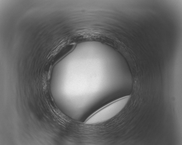 X0000086071012200703231008