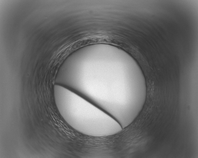 X0000086071015200703231008