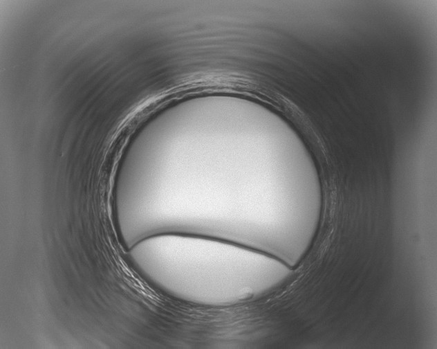 X0000086071019200703231008