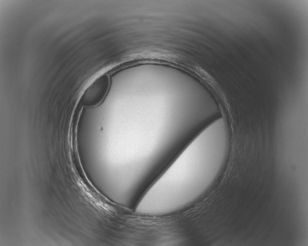 X0000086071028200703231008