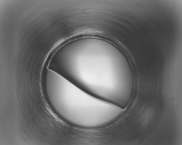 X0000086071029200703231008