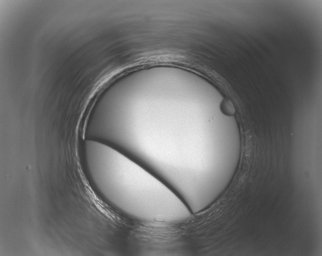 X0000086071031200703231008