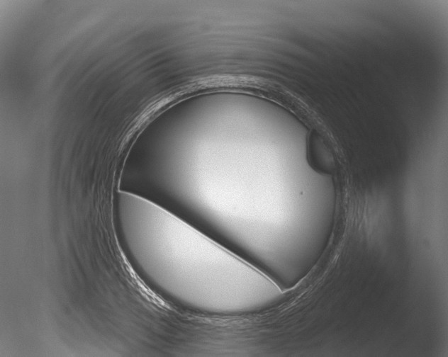 X0000086071033200703231008