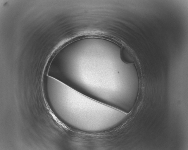 X0000086071037200703231008