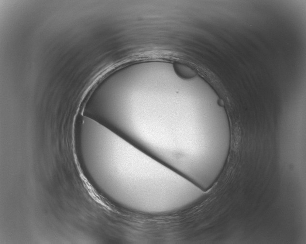 X0000086071039200703231008
