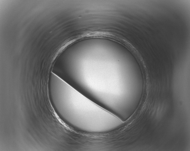 X0000086071041200703231008