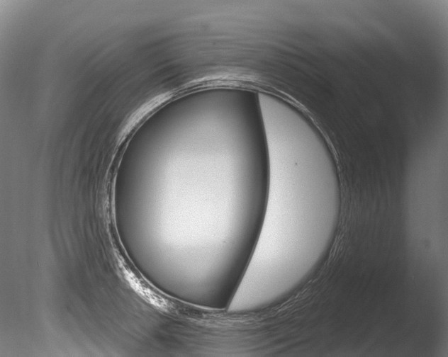 X0000086071042200703231008
