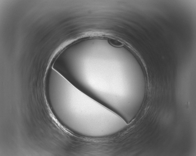 X0000086071045200703231008