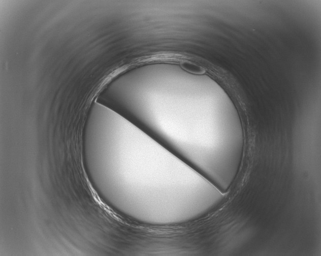 X0000086071049200703231008