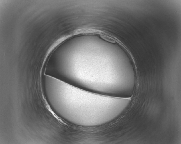 X0000086071053200703231008