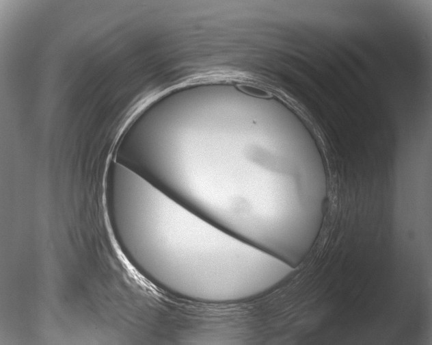 X0000086071055200703231008