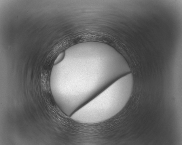 X0000086071059200703231008