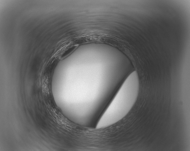 X0000086071060200703231007