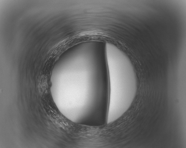 X0000086071062200703231007