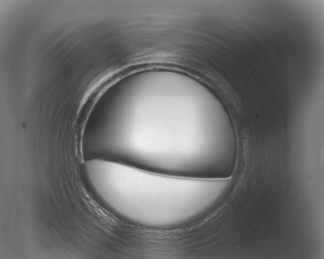 X0000086071069200703231007