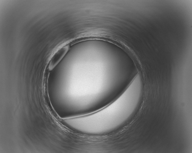 X0000086071077200703231007