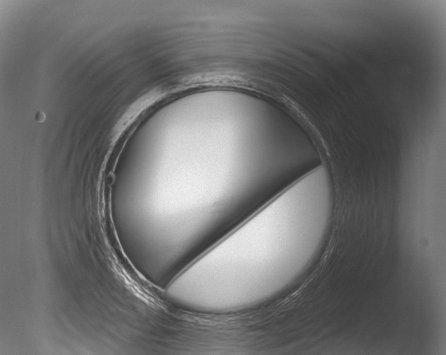 X0000086071082200703231007