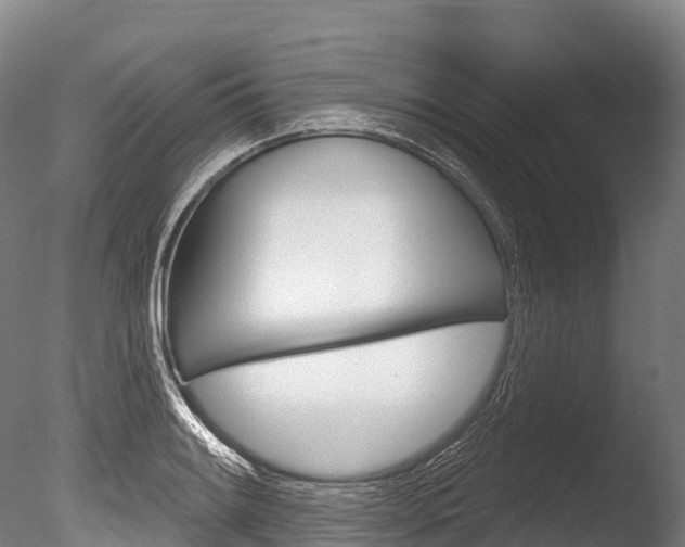 X0000086071084200703231007