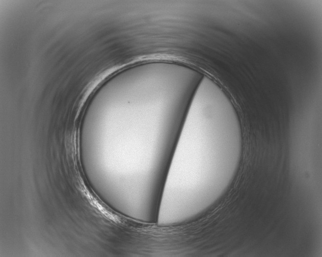 X0000086071092200703231007