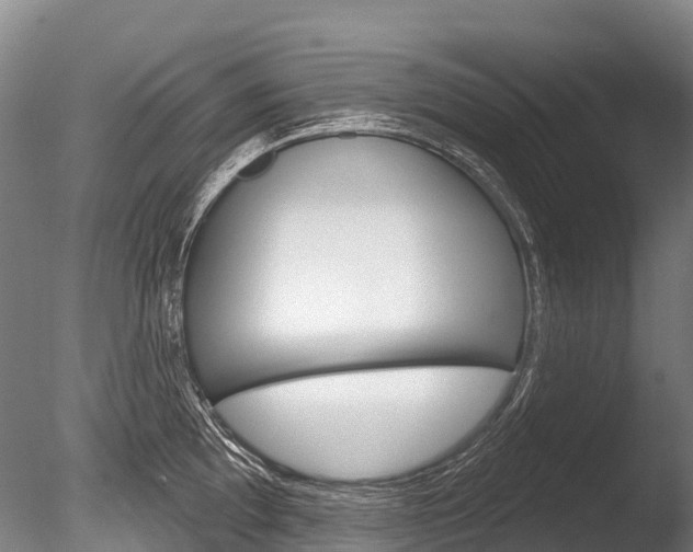 X0000086071097200703231007