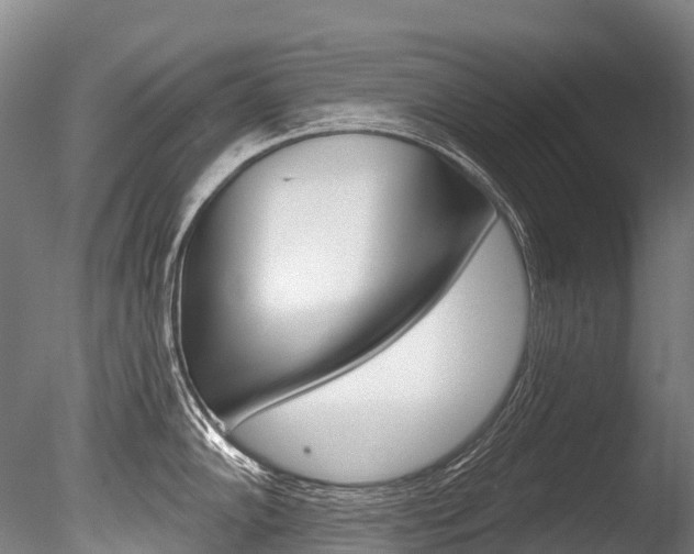 X0000086071102200703231007