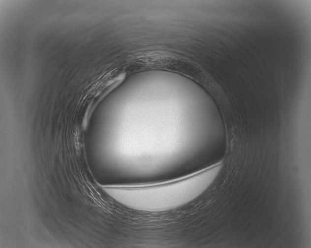 X0000086071108200703231006