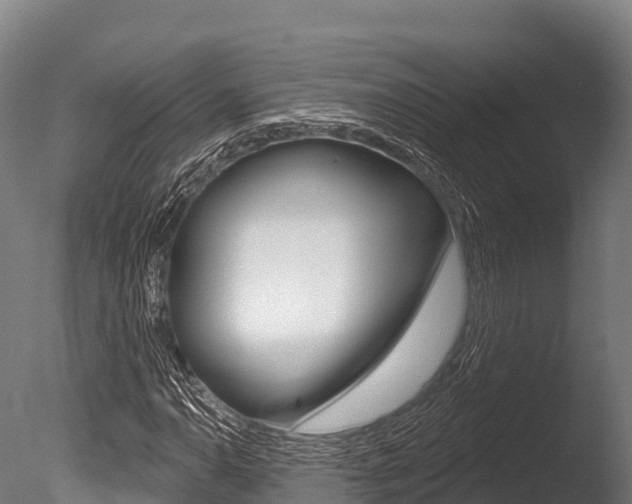 X0000086071110200703231006