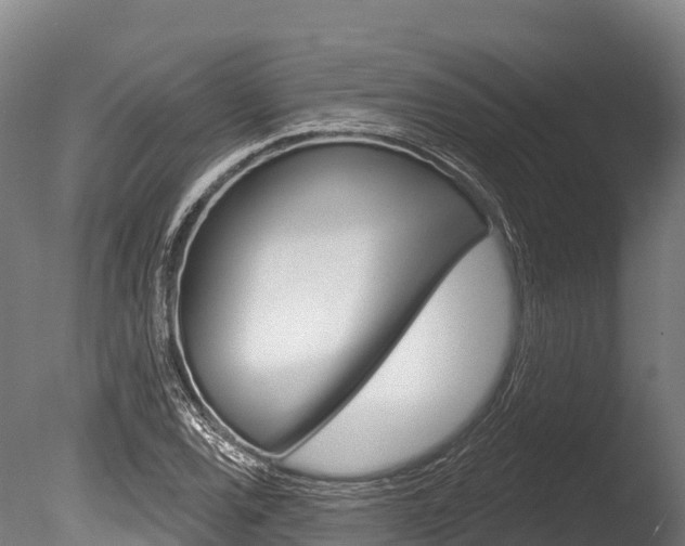 X0000086071120200703231006