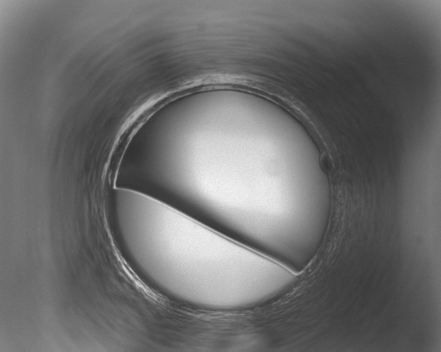X0000086071127200703231006