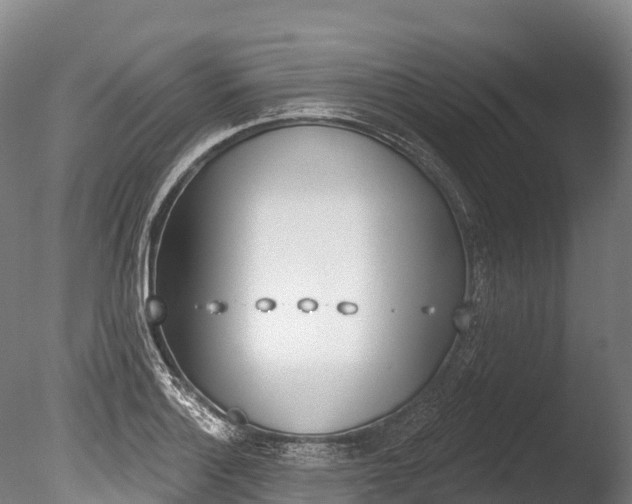 X0000086071132200703231006