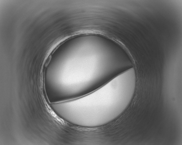 X0000086071140200703231007