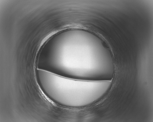 X0000086071141200703231007