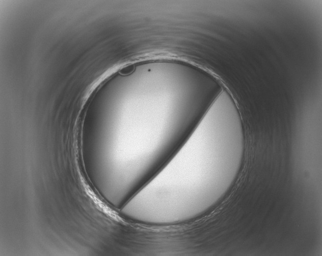 X0000086071142200703231007
