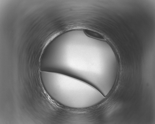 X0000086071145200703231007