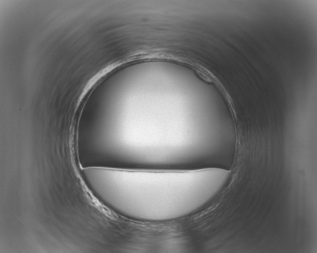 X0000086071149200703231007