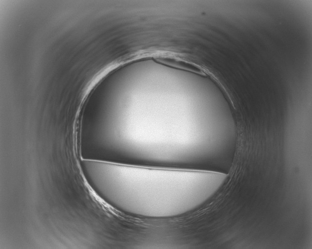 X0000086071151200703231007