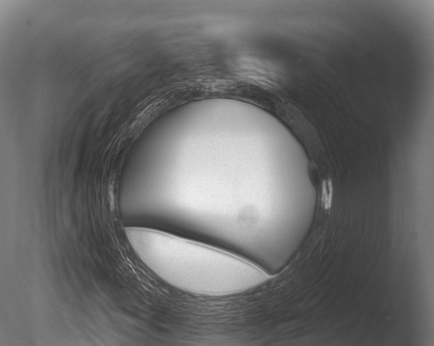 X0000086071155200703231006