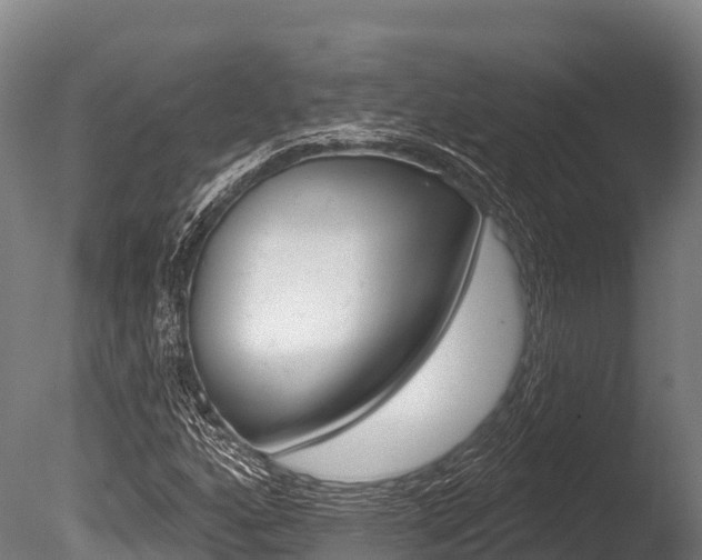 X0000086071160200703231006