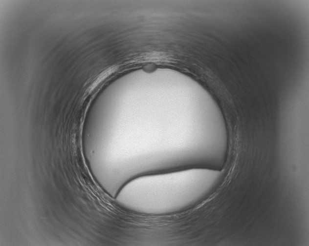 X0000086071162200703231006