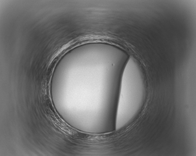 X0000086071165200703231006