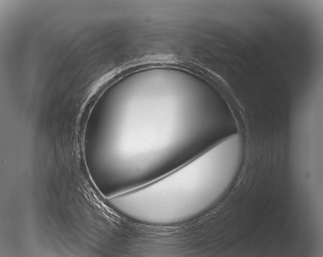 X0000086071168200703231006