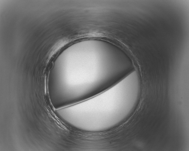 X0000086071171200703231006