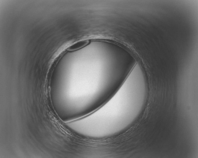 X0000086071173200703231006