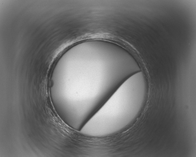 X0000086071174200703231006