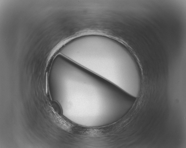 X0000086071175200703231006