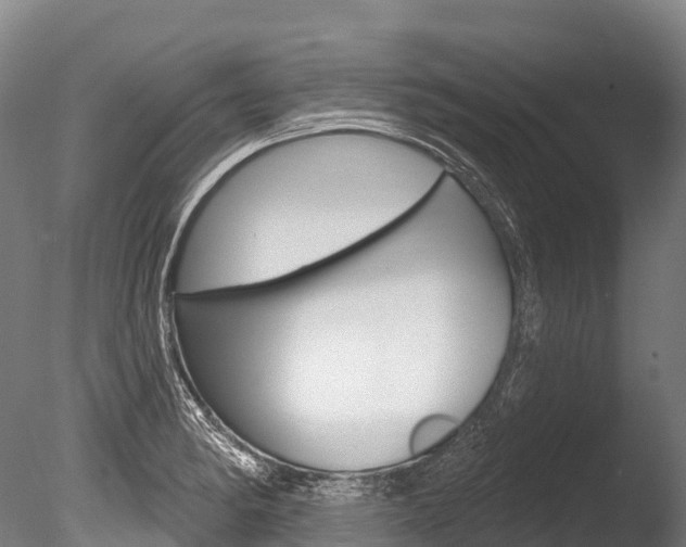 X0000086071182200703231005
