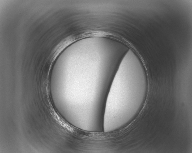 X0000086071194200703231005