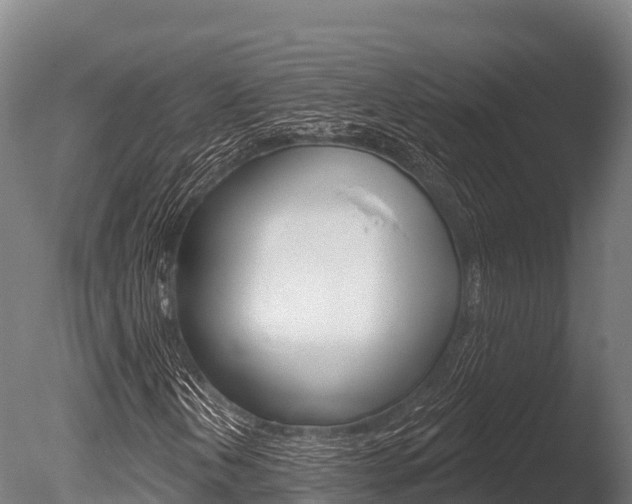 X0000086071202200703231004