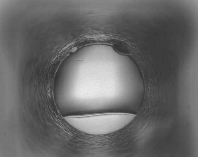 X0000086071205200703231004